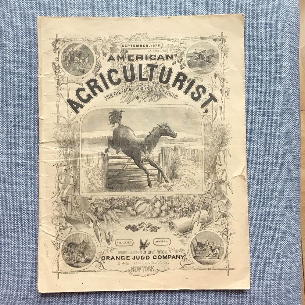 Antique 1878‎ American Agriculturist Magazine Farm Garden Horse Newspaper